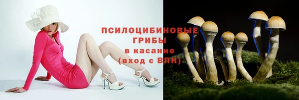 мет Арсеньев