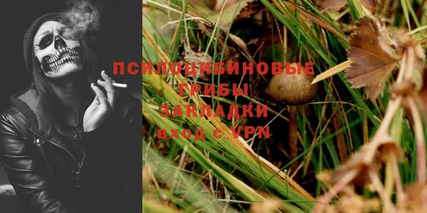 мет Арсеньев