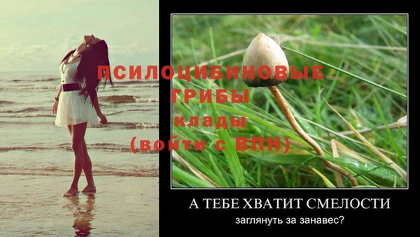 СК Аркадак