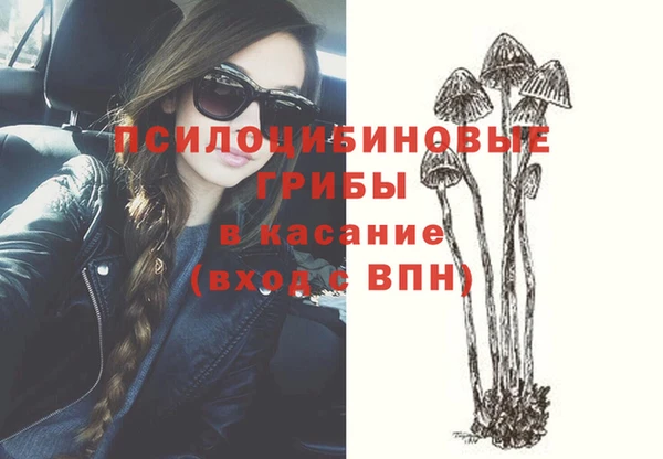 СК Аркадак