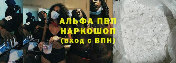 СК Аркадак